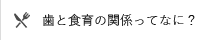歯と食育の関係ってなに？